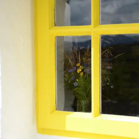 펜션 Teachin - An Idyll Of The Emerald Isle 다우닝스