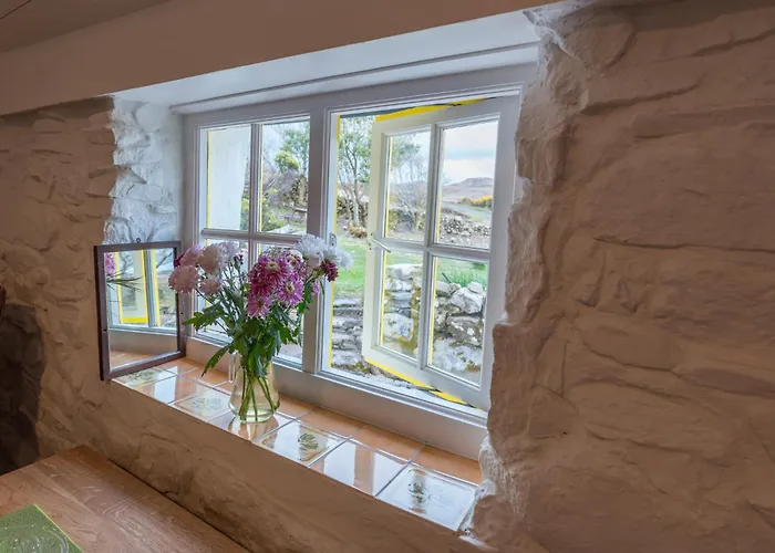 Hébergement de vacances Teachin - An Idyll Of The Emerald Isle Downings