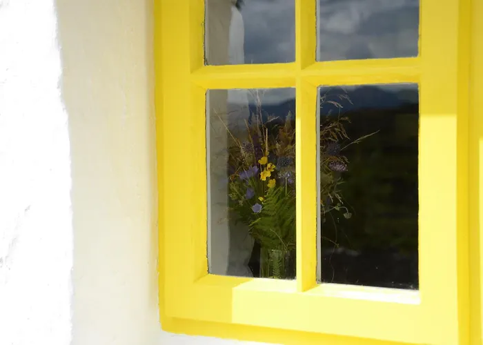 Hébergement de vacances Teachin - An Idyll Of The Emerald Isle Downings